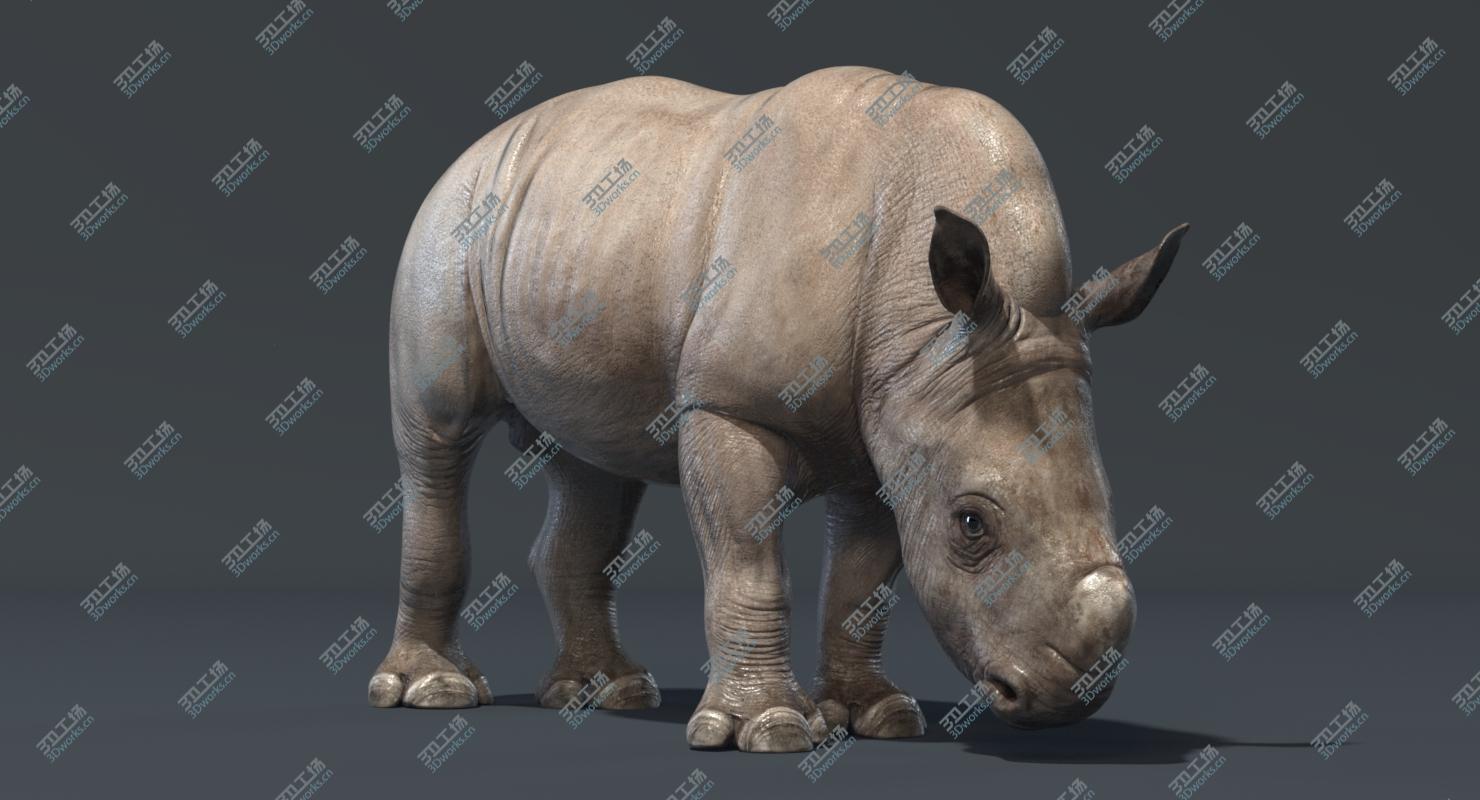 images/goods_img/202104091/3D Rhino Baby (Rigged)/4.jpg